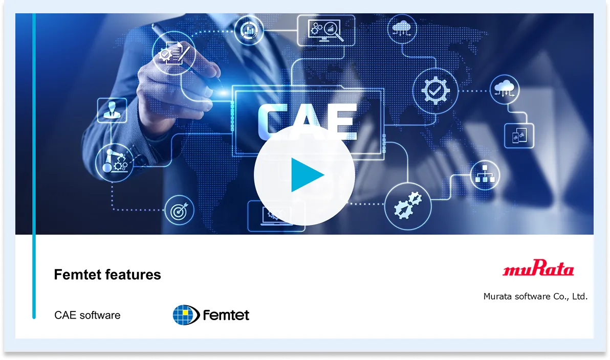 Femtet by analysis process